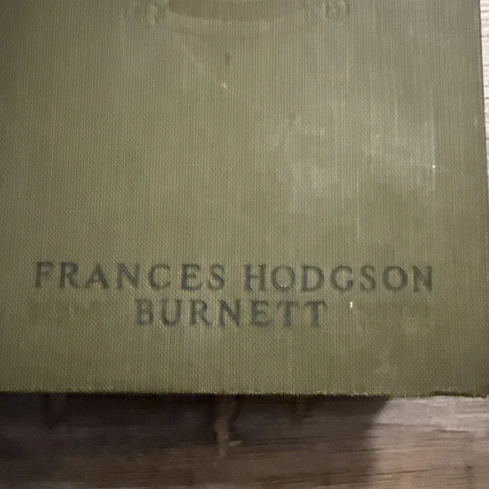 Frances Hodgson Burnett, Robin HC Vintage 1922 Pre Owned